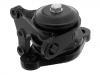 发动机支架胶垫 Engine Mount:50 10 460 294